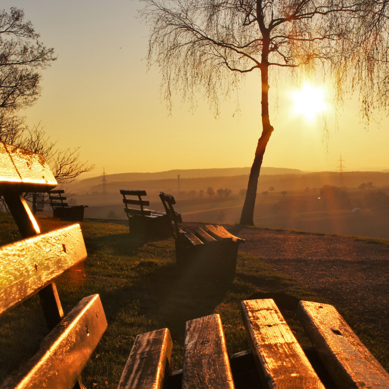 bench lessons to learn