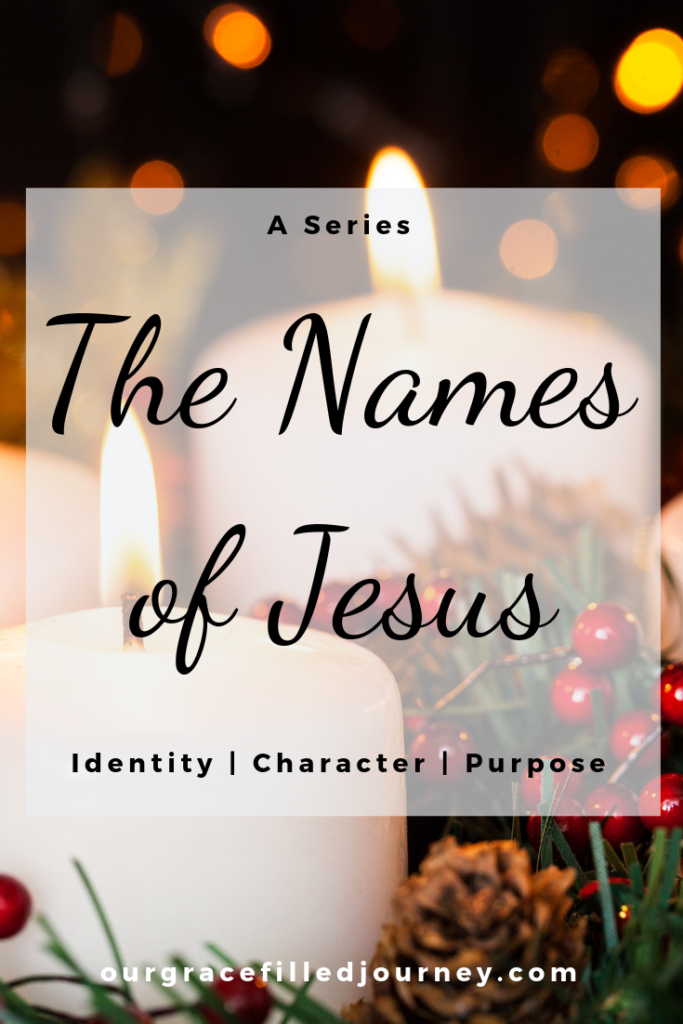 Names Of Jesus Series Scripture Devotion Grace Filled Journey  Love Came Down at Christmas