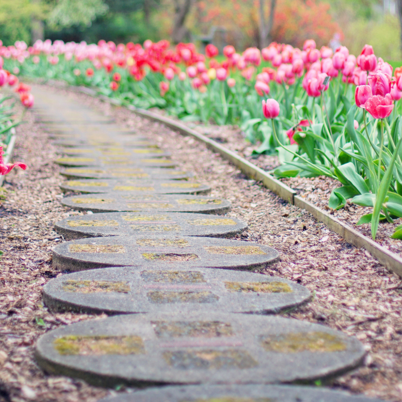 Stone Walking Path The Lord Spoke Our Grace Filled Journey