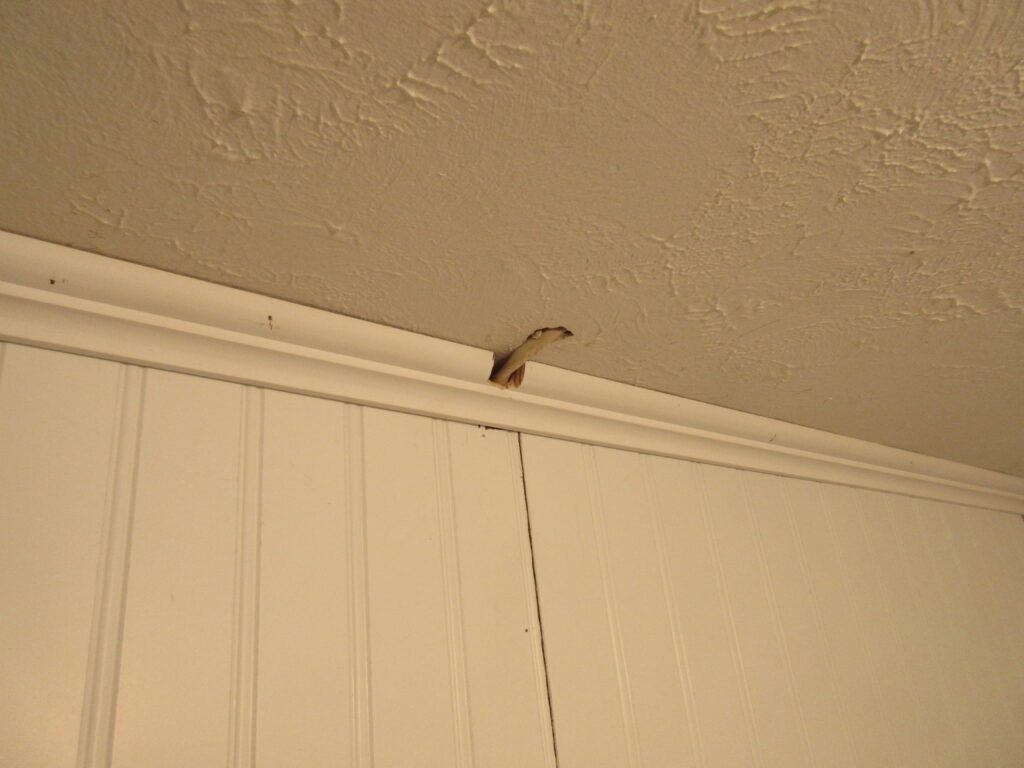 electric wire out of ceiling