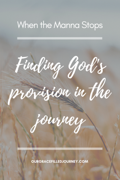 Finding God's provision pin